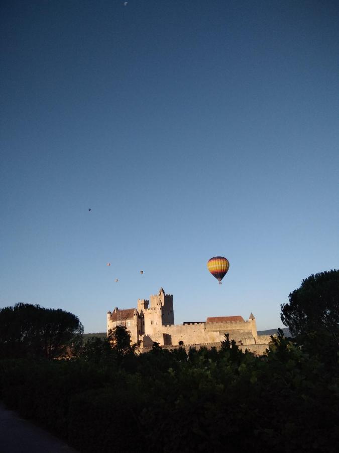 Maison En Perigord Proche Beynac Et Sarlat *
