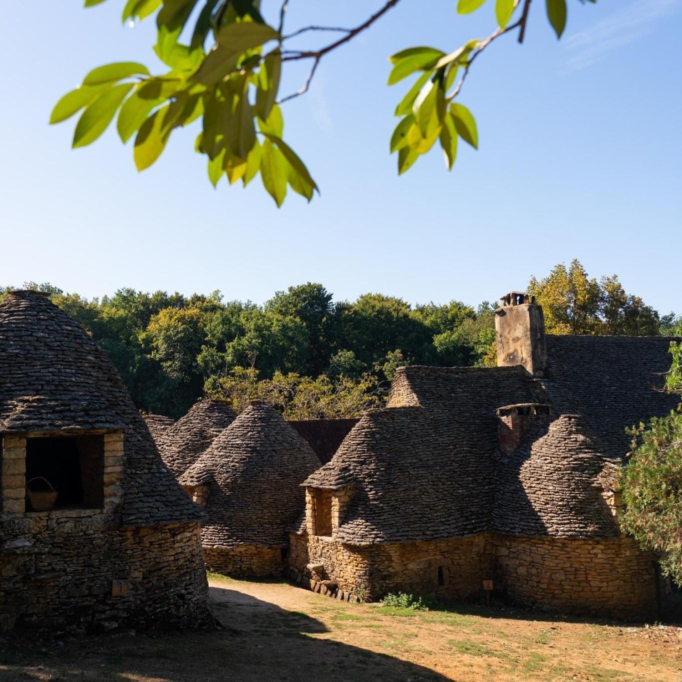 Maison En Perigord Proche Beynac Et Sarlat Cenac-et-Saint-Julien